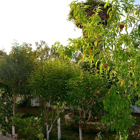 Kostas' Garden Leilighet Róda Eksteriør bilde