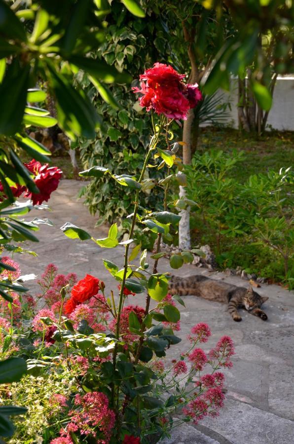 Kostas' Garden Leilighet Róda Eksteriør bilde