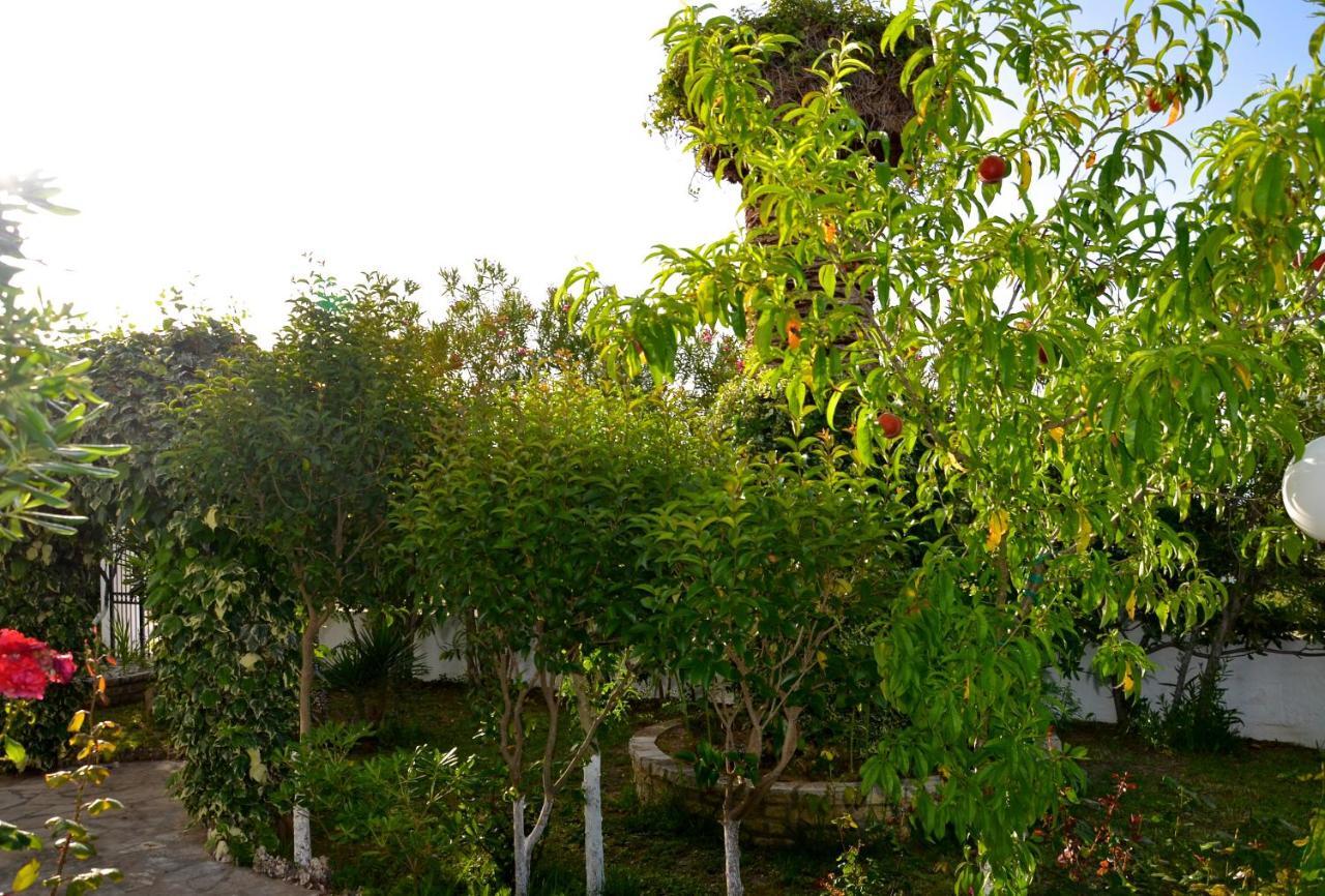 Kostas' Garden Leilighet Róda Eksteriør bilde